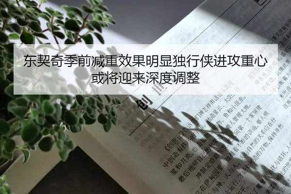 东契奇季前减重效果明显独行侠进攻重心或将迎来深度调整